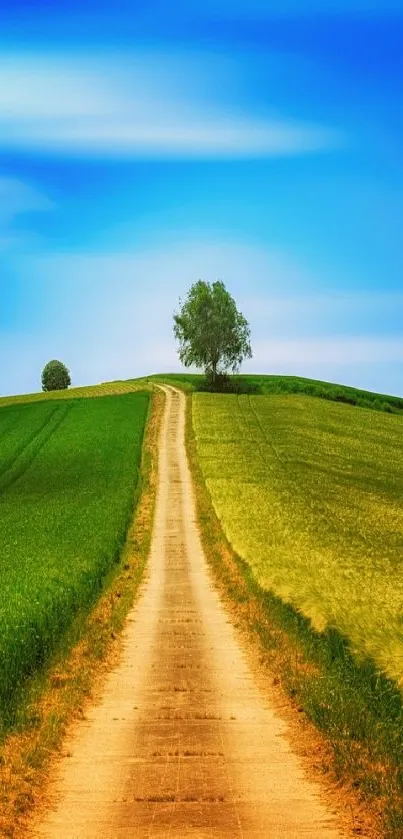 Countryside path through green fields under a blue sky.