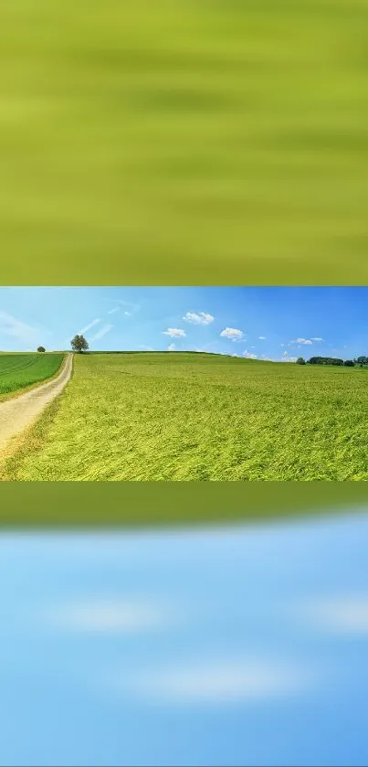 Serene countryside pathway with green fields under a blue sky.