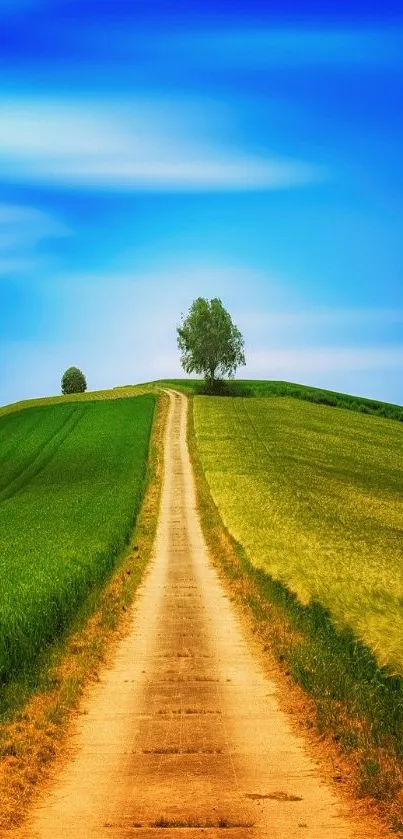 A serene countryside road with lush fields and a vibrant blue sky.