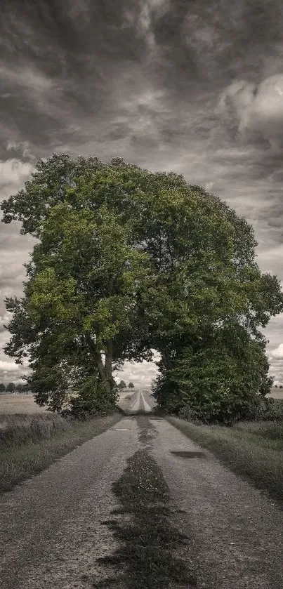 Rustic road under a dramatic sky with lush greenery.