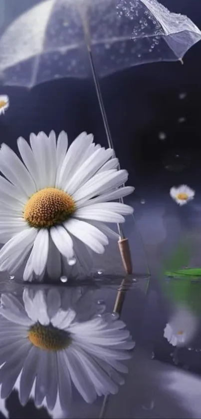 Daisy flower and umbrella reflection on water wallpaper.