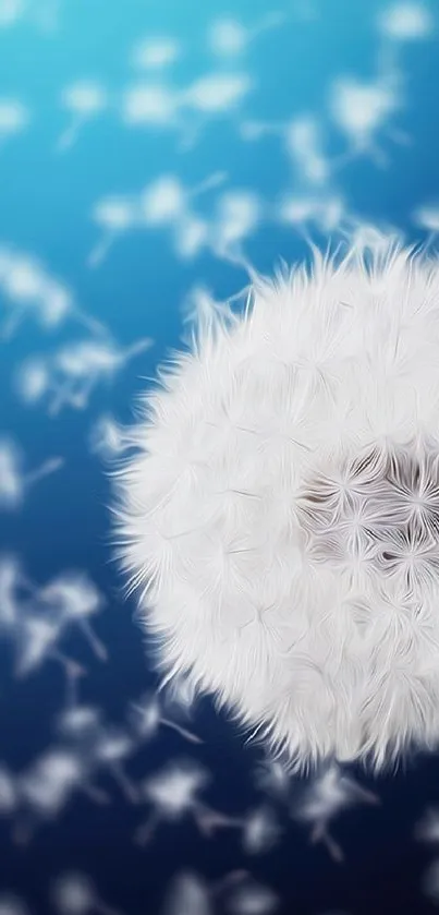 Fluffy dandelion seeds on blue background wallpaper.