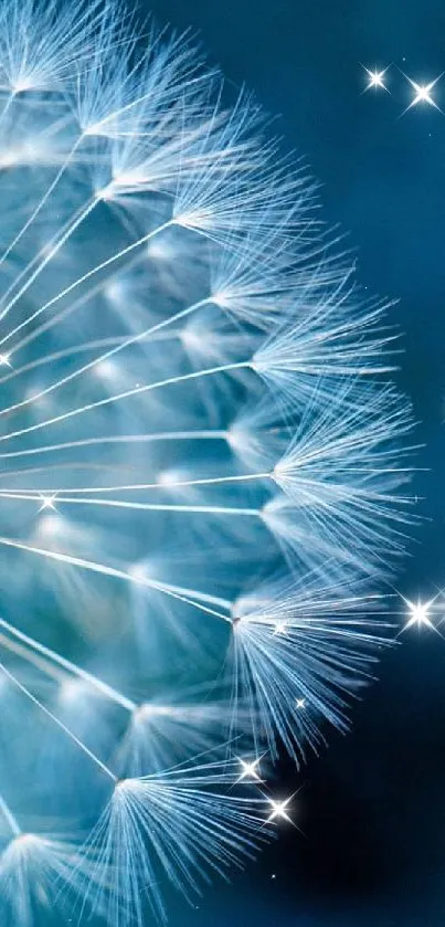 Close-up of a dandelion against a blue background, perfect for a calming wallpaper.