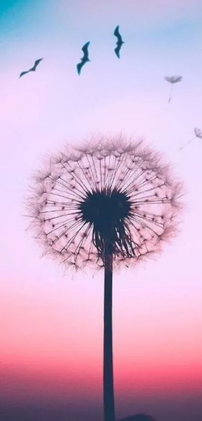 A serene dandelion silhouette with birds against a pastel pink and blue sky.