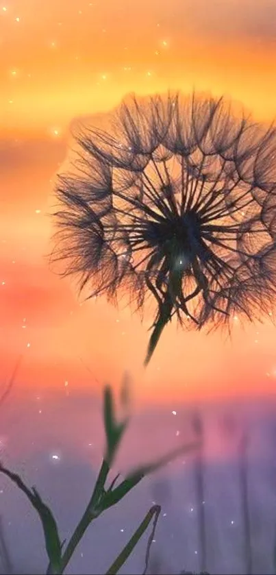 Silhouette of a dandelion against a serene sunset background.