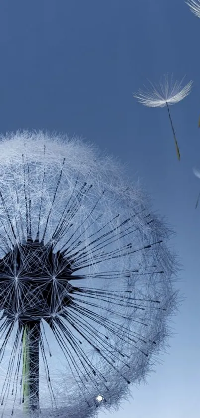 Mobile wallpaper of dandelion against a blue sky.