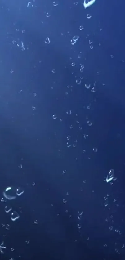 Deep blue wallpaper with floating bubbles for a serene phone background.