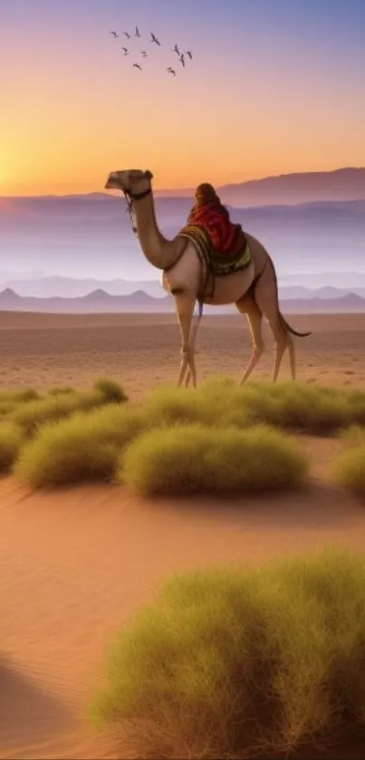 Camel in a serene desert landscape at sunset with distant mountains.