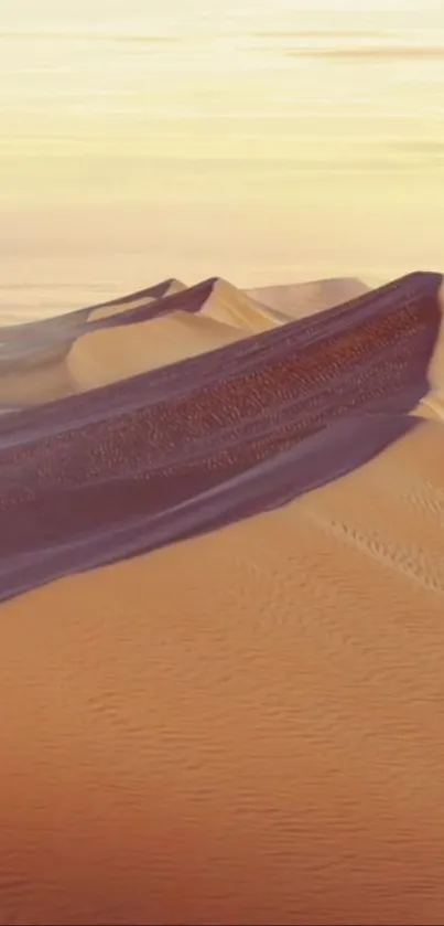 Serene desert dunes at sunset with golden sand and purple shadows.