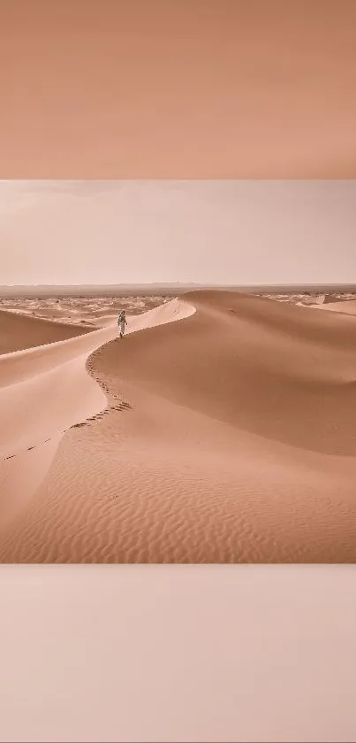 Serene desert dunes with expansive sandy landscape for mobile wallpaper.