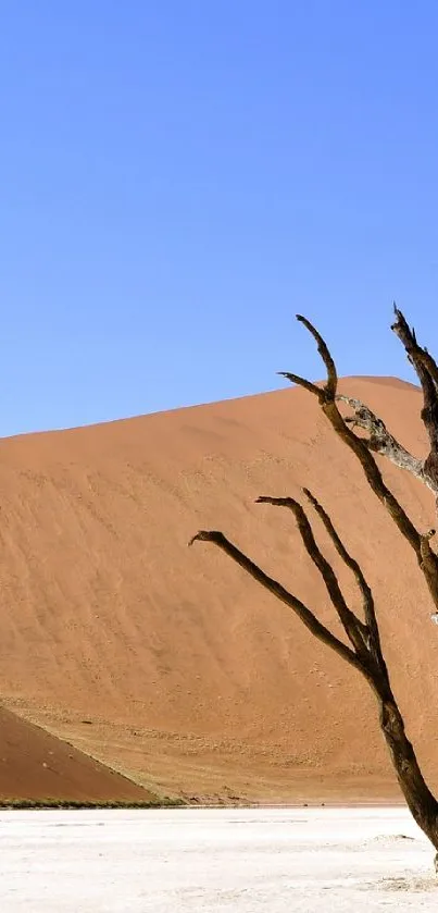 Serene desert landscape with blue sky and sand dunes.