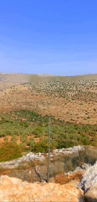 Serene desert landscape with clear blue sky.