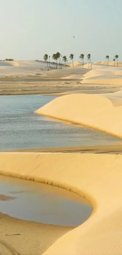 Serene desert oasis landscape with dunes and water.