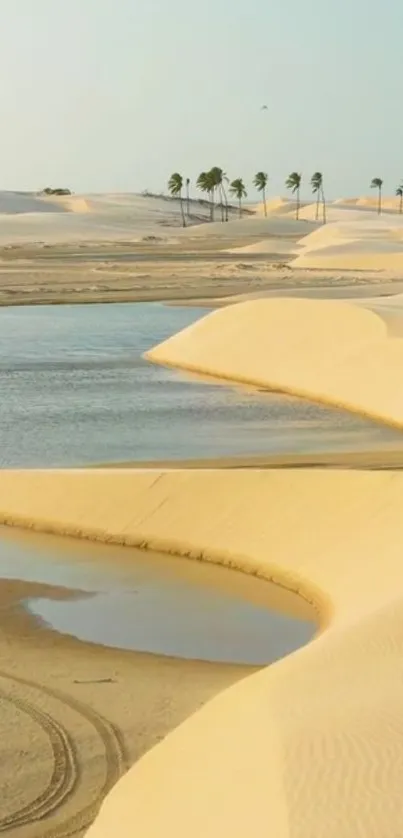 Desert oasis with sand dunes and water under blue sky.