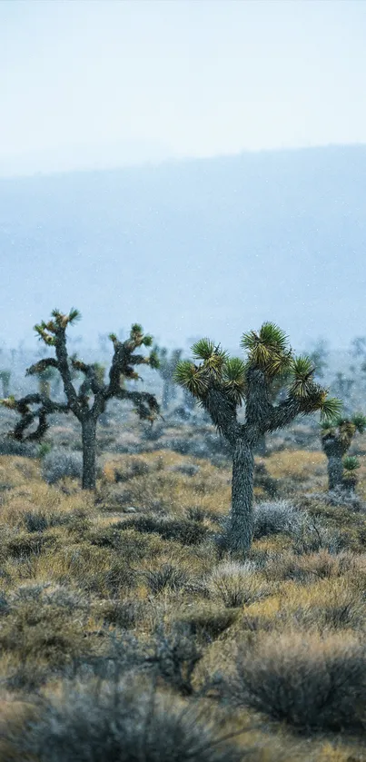 Desert landscape with Joshua trees under a cloudy sky.