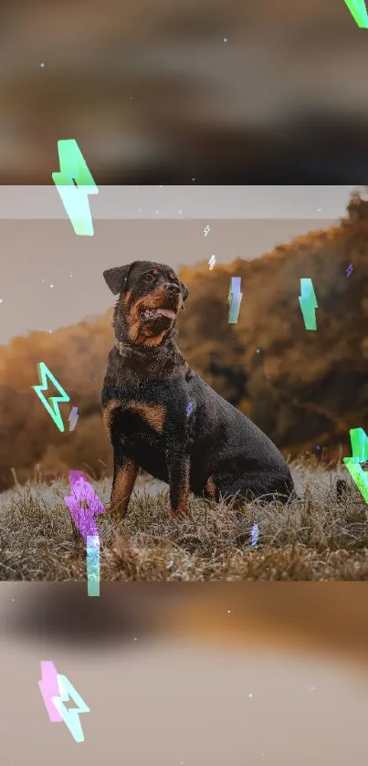 Majestic dog sitting in a field with autumn hues and vibrant accents.