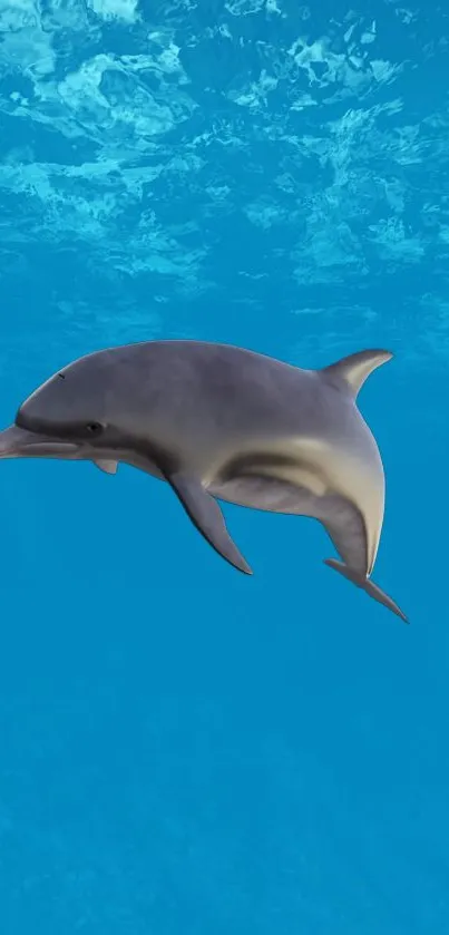 A dolphin swims gracefully in vibrant blue ocean water.