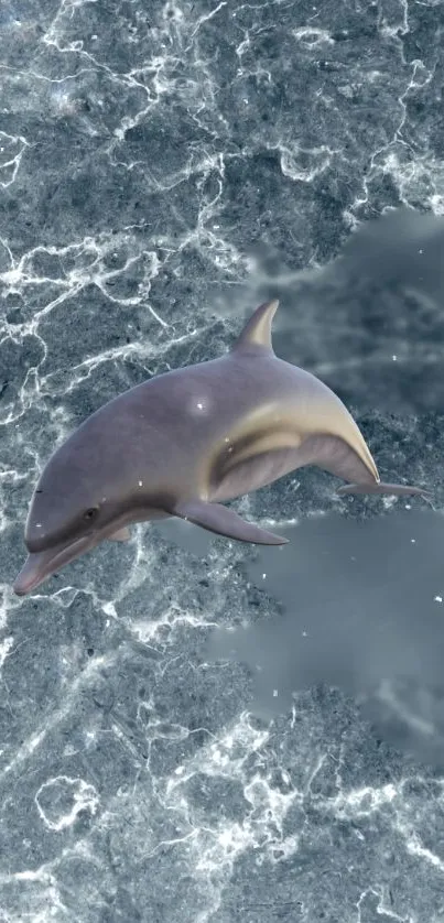 A dolphin swimming in clear ocean waters for mobile wallpaper.