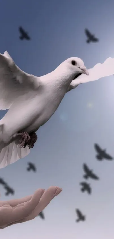 A serene wallpaper of doves flying in a peaceful sky.