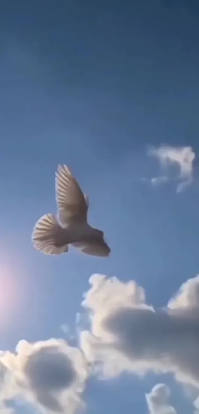 A white dove soaring under a bright blue sky with clouds.