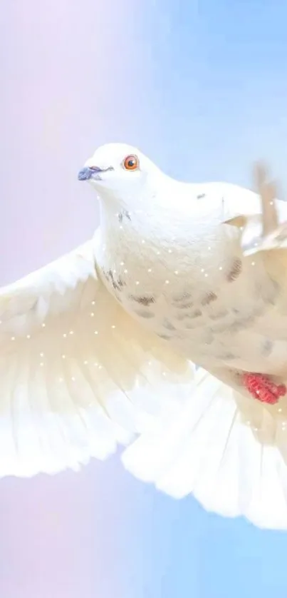 Graceful white dove flying in a pastel sky background.