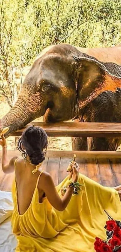 Woman in a yellow dress sitting by a window with an elephant outside.