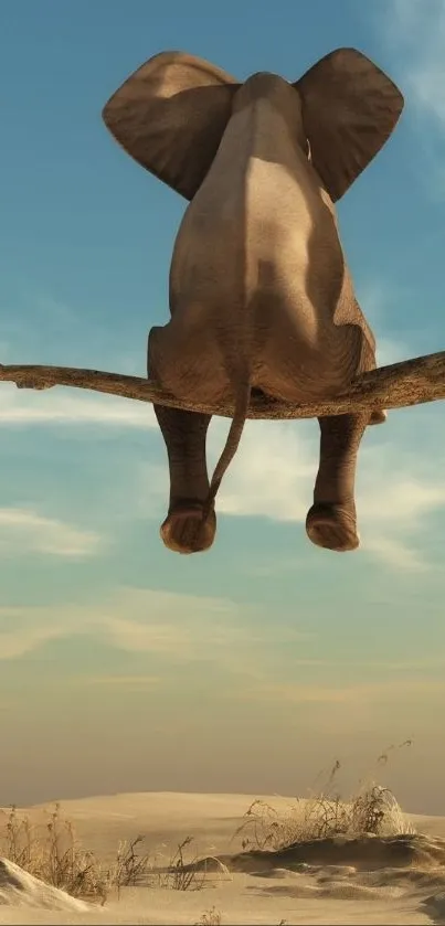 Elephant sitting on a tree branch in desert.