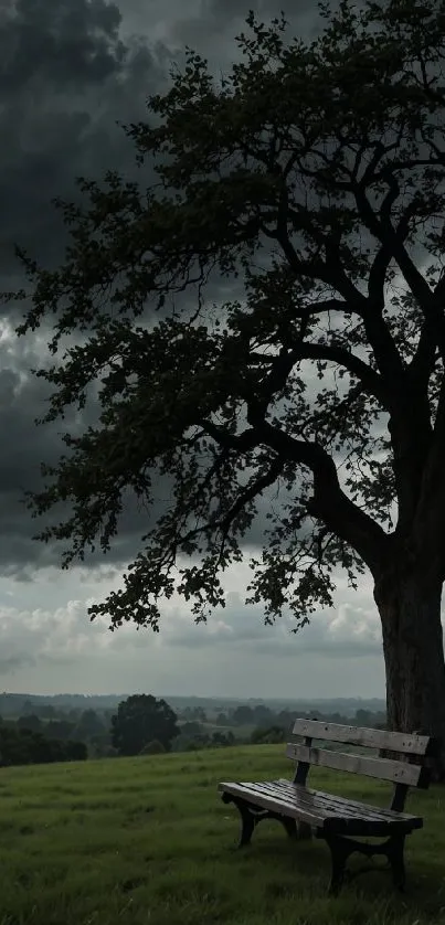 Stormy evening park with tree and bench.