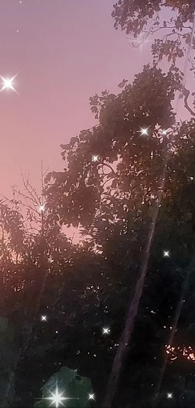 Evening sky with sunset and silhouetted trees.