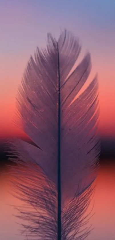 Feather silhouette against a pastel sunset sky with soothing hues for phone wallpaper.