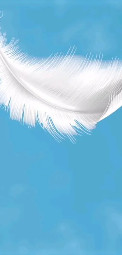 Elegant white feather on a soft sky blue background.