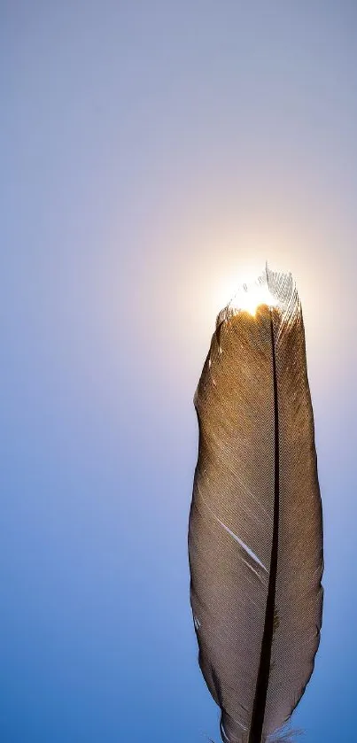 A single feather illuminated by sunlight against a clear sky.