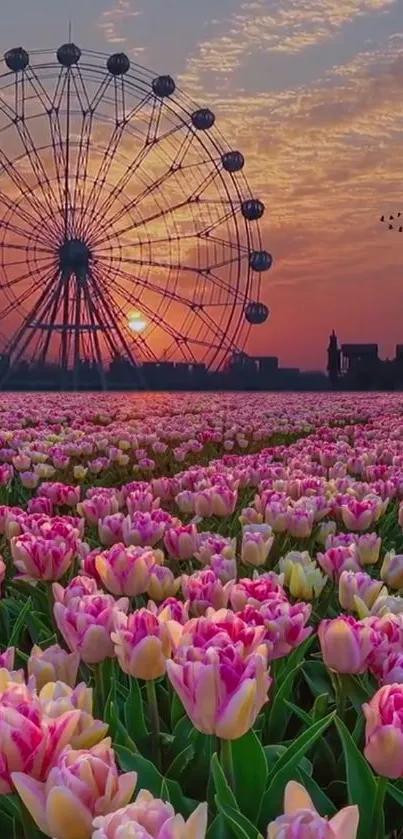 Mobile wallpaper of tulip field and Ferris wheel at sunset.