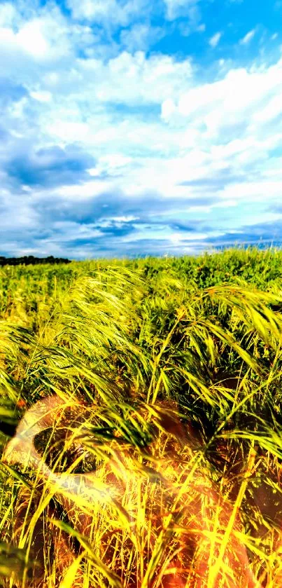 Green field under a vibrant blue sky with clouds and lush vegetation.