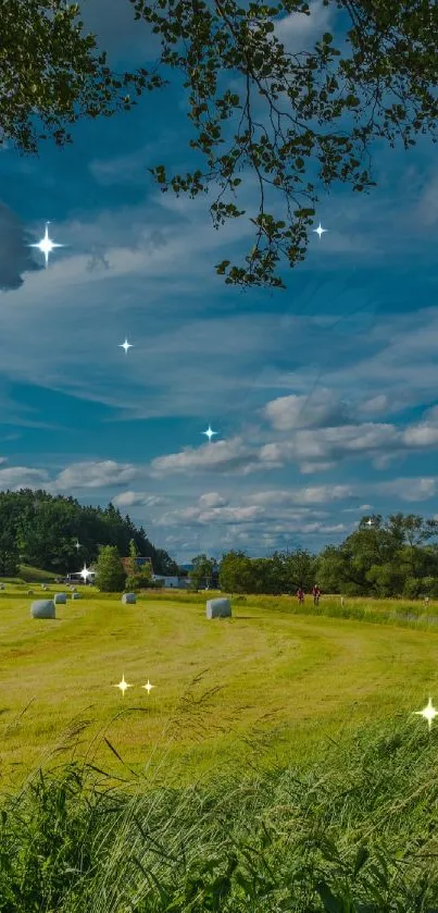 A serene green field beneath a blue sky with sparkling stars.