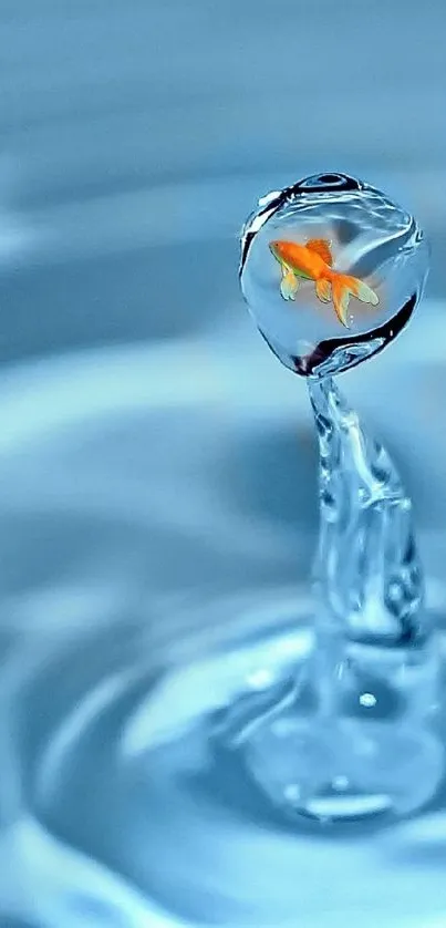 Wallpaper of a goldfish in a water droplet with ripples on a blue background.