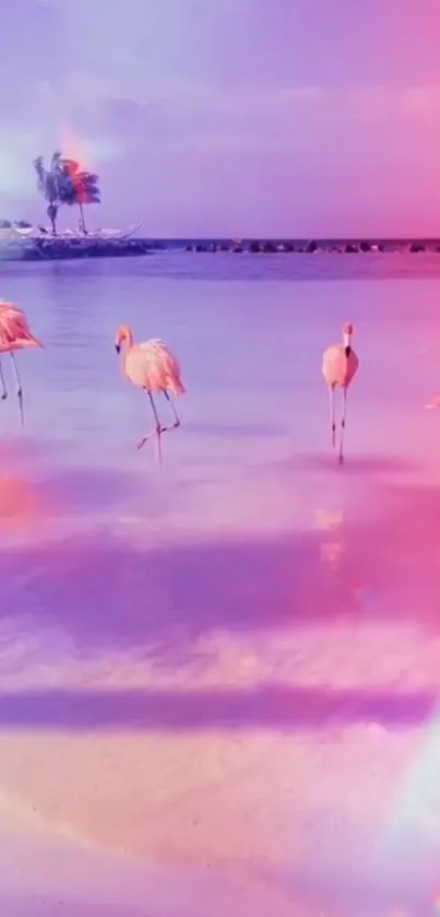 Flamingos wading on a pink beach during sunset.