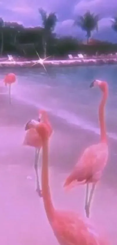 Flamingos on a pastel beach at sunset with calming colors and tranquil vibes.