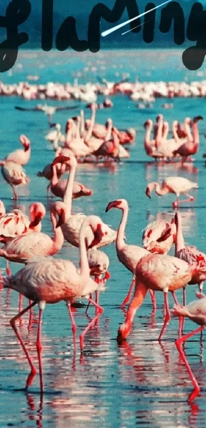 Flock of flamingos wading in a tranquil blue lake with scenic natural background.