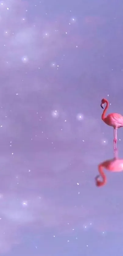 A pink flamingo standing on water with its reflection and a pastel purple sky.