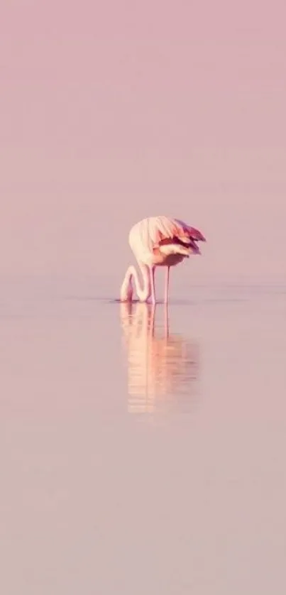 Serene pastel sunset with a lone flamingo on water.