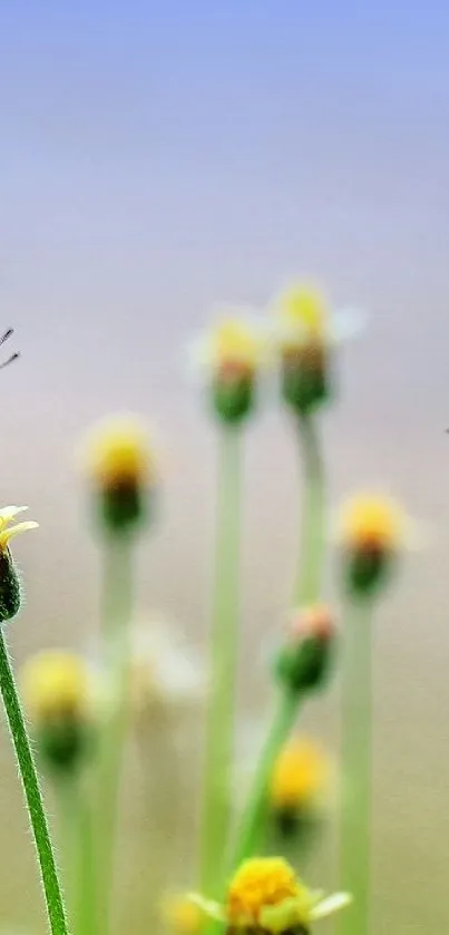 Close-up of wildflowers and dragonflies with a soft, serene background on mobile wallpaper.