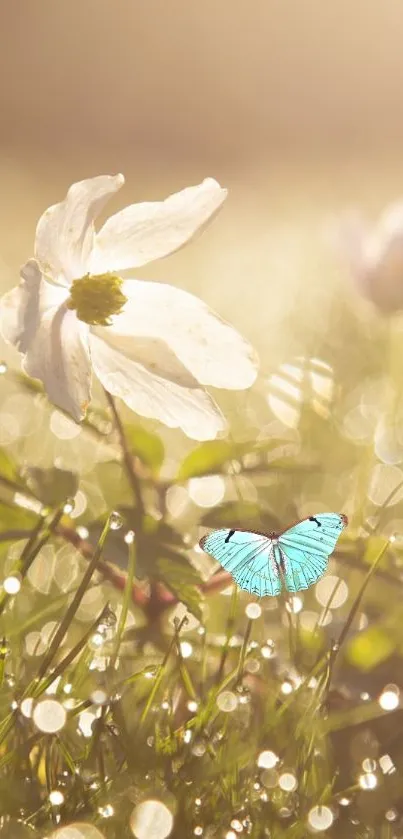 Blue butterfly on grass with white flower and sunlight bokeh.