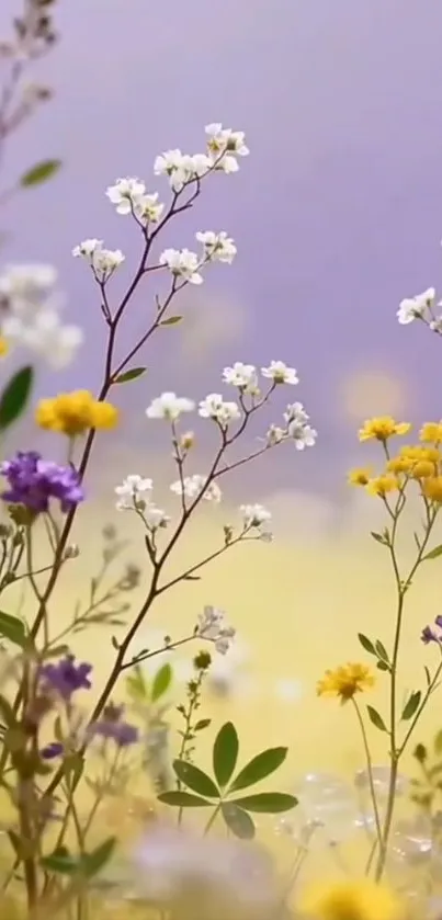 Delicate wildflowers against a pastel background on mobile wallpaper.