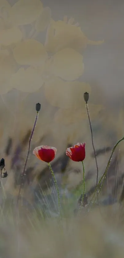 Serene wallpaper with red flowers and subtle background hues.