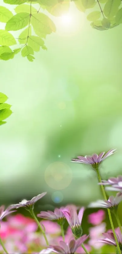 Serene floral wallpaper with green leaves and pink flowers.