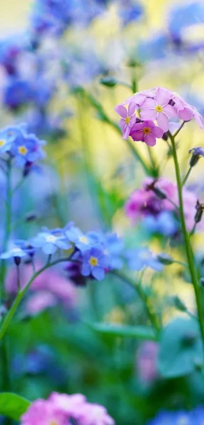 Vibrant wildflowers with blue and pink hues create a serene phone wallpaper.