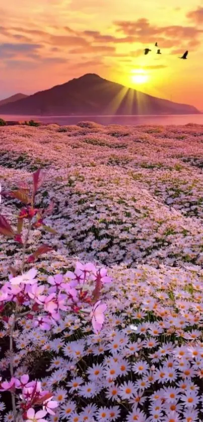 Scenic view with flowers, sunset, and mountain.