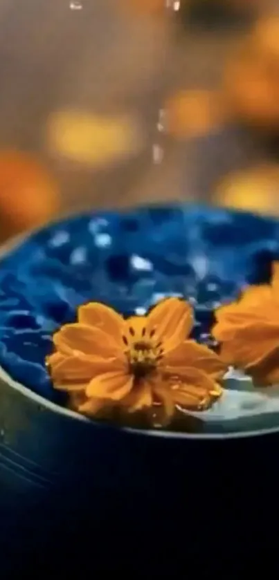 Orange flowers floating in blue water bowl wallpaper.