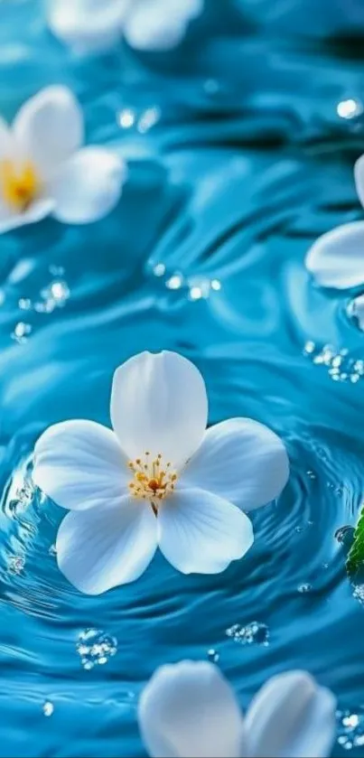 White flowers on rippling blue water background.